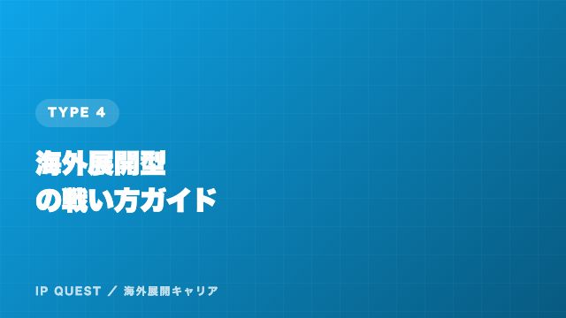 海外展開型の戦い方ガイド 表紙